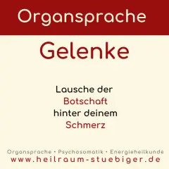 Organsprache: Gelenke. Lausche der Botschaft hinter deinem Schmerz. Gliederschmerzen spirituelle bedeutung.