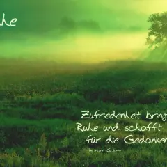 Sanfte Nebelschwaden über einer grünen Wiese, ein Baum im Sonnenlicht. Ein Ort der Ruhe, im Einklang mit der Natur, wo Zufriedenheit Platz für Gedanken schafft.