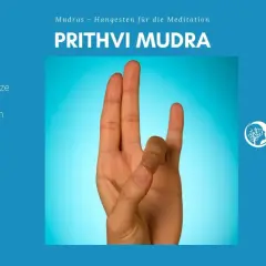 Prithvi Mudra: Daumen und Ringfinger berühren sich. Die Bedeutung dieser Mudras für die Meditation ist Erdung und Stabilität.