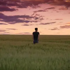 Ein Mann steht in einem weiten Feld, blickt in den dramatischen Himmel. Ein Moment der stillen, **contemplative deutsch** Reflexion.
