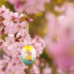 Ein bemalter Osterhase auf einem Ei hängt an einem blühenden Kirschbaum. Bald ist die Osternacht, die Zeit der Freude und des Neubeginns.