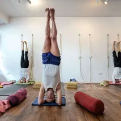 Drei Männer praktizieren im Iyengar Yoga Studio den Kopfstand. Die Iyengar Yoga Wirkung ist spürbar: Kraft, Balance und Ruhe.
