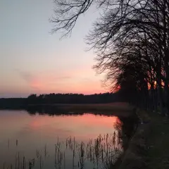 Sonnenuntergang am See mit Bäumen. Die Stille lädt zum Nachdenken ein, fast wie beim Mantra singen.