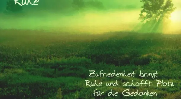 Sanfte Nebelschwaden über einer grünen Wiese, ein Baum im Sonnenlicht. Ein Ort der Ruhe, im Einklang mit der Natur, wo Zufriedenheit Platz für Gedanken schafft.