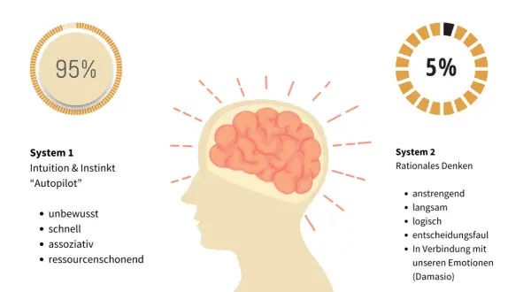 Gehirn mit zwei Systemen: 95% Intuition (System 1) und 5% rationales Denken (System 2). Oft ist die richtige Entscheidung intuitiv.