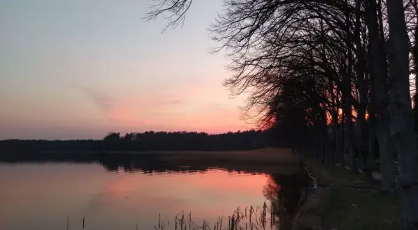 Sonnenuntergang am See mit Bäumen. Die Stille lädt zum Nachdenken ein, fast wie beim Mantra singen.