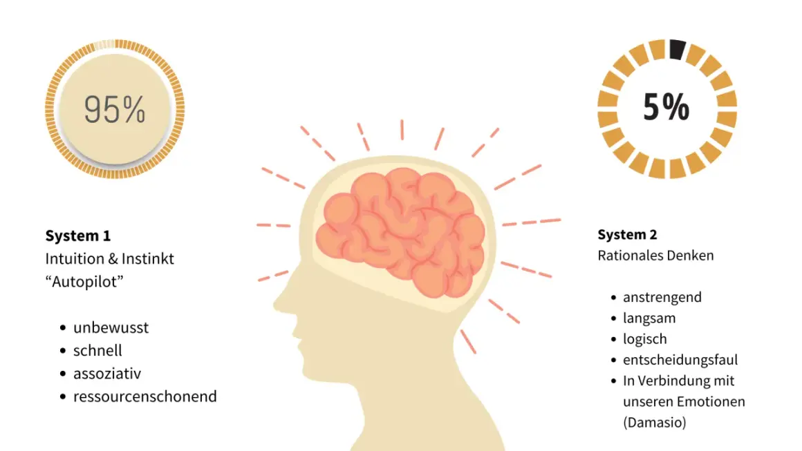 Gehirn mit zwei Systemen: 95% Intuition (System 1) und 5% rationales Denken (System 2). Oft ist die richtige Entscheidung intuitiv.