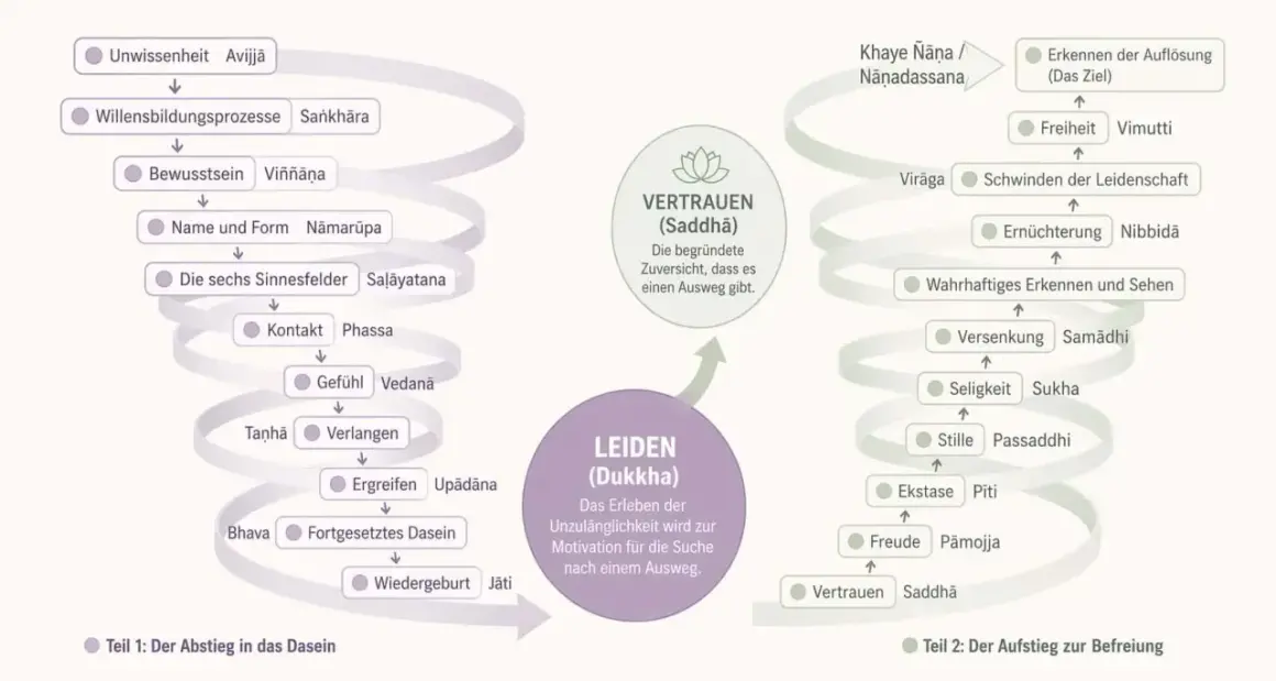 Der achtfache Pfad als Wegweiser: Vom Leiden zur Befreiung durch Vertrauen und Erkenntnis.