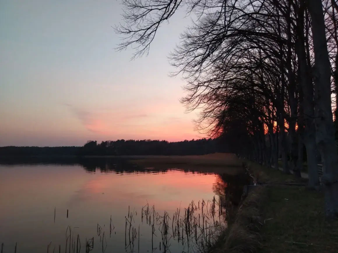 Sonnenuntergang am See mit Bäumen. Die Stille lädt zum Nachdenken ein, fast wie beim Mantra singen.