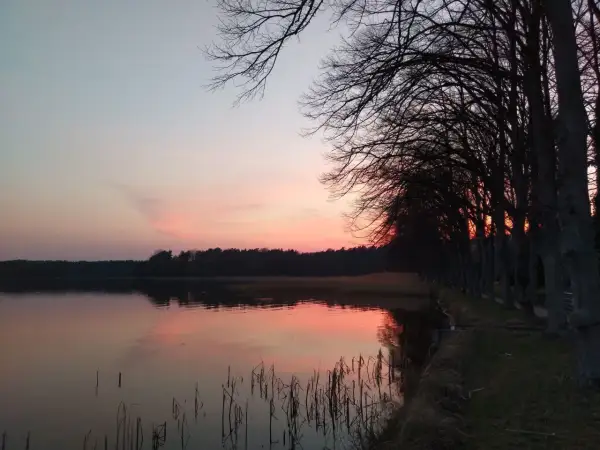 Sonnenuntergang am See mit Bäumen. Die Stille lädt zum Nachdenken ein, fast wie beim Mantra singen.